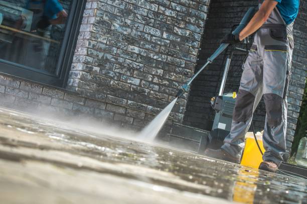 Best Roof Washing  in Jena, LA